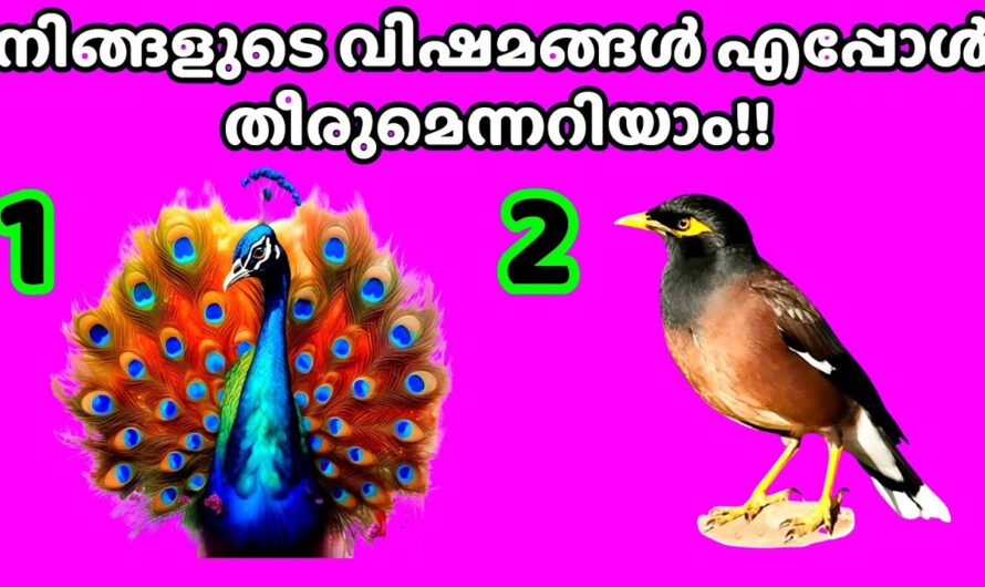 നിങ്ങളുടെ വിഷമം മാറുമോ ഇല്ലയോ എന്ന് ഉടൻ തന്നെ അറിയാം, 100% വും സത്യം…