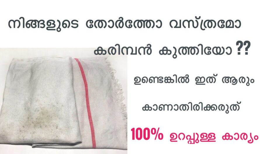 തുണികളിലെ കരിമ്പന കളയാനുള്ള സൂത്രമറിയണോ? ഇങ്ങോട്ട് വരൂ…