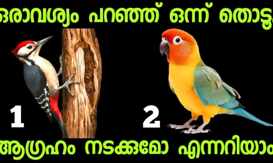 നിങ്ങളുടെ മനസ്സിലുള്ള വിഷമം ഉടനെ പരിഹരിക്കപ്പെടുമോ? ഇതാ ഒരു തൊടു കുറി…