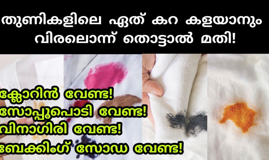 തുണികളിലെ ഏത് കറിയും കളയാൻ ഇതുകൊണ്ട് ഒന്ന് തൊട്ടാൽ മതി, ക്ലോറിനോ ബ്ലീച്ചോ ഒന്നും വേണ്ട…