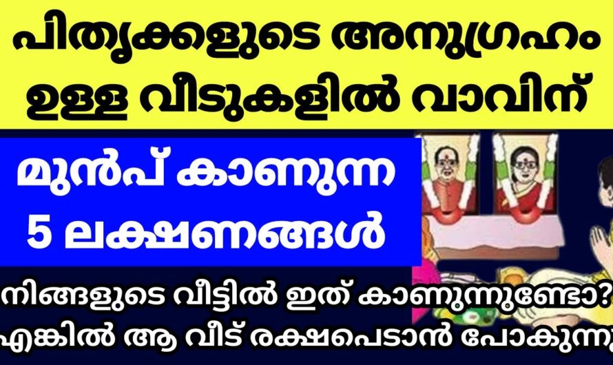 കർക്കിടക മാസത്തിൽ ഈ ലക്ഷണങ്ങൾ കണ്ടാൽ ഉറപ്പിക്കുക നിങ്ങൾക്ക് പിതൃക്കളുടെ അനുഗ്രഹം ഉണ്ട്…