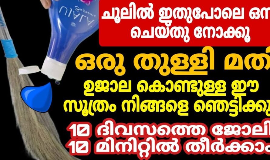 ഒരു തുള്ളി ഉജാല ഉണ്ടെങ്കിൽ വീട് മുഴുവനും വെട്ടിത്തിളങ്ങും, ഉജാല മാജിക്…