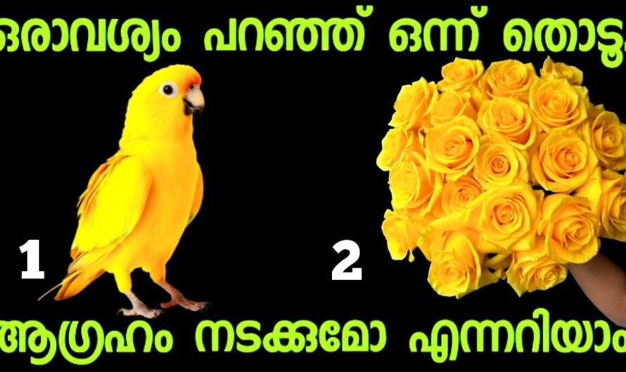 ജീവിതത്തിൽ ഇനി എന്ത് സംഭവിക്കും എന്ന് ഉടനെ തന്നെ അറിയാം, ഇതൊരെണ്ണം തൊടൂ….