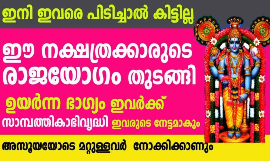 ഇവർ ഇനി കിരീടം വെക്കാത്ത രാജാക്കന്മാർ, കുതിച്ചുയരുന്ന നക്ഷത്രങ്ങൾ…