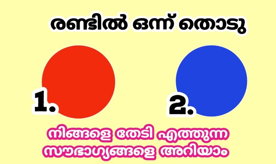 നിങ്ങളുടെ ജീവിതത്തിൽ ഇനി എന്ത് സംഭവിക്കും! രണ്ട് നിറത്തിൽ ഒന്നു തൊടൂ…