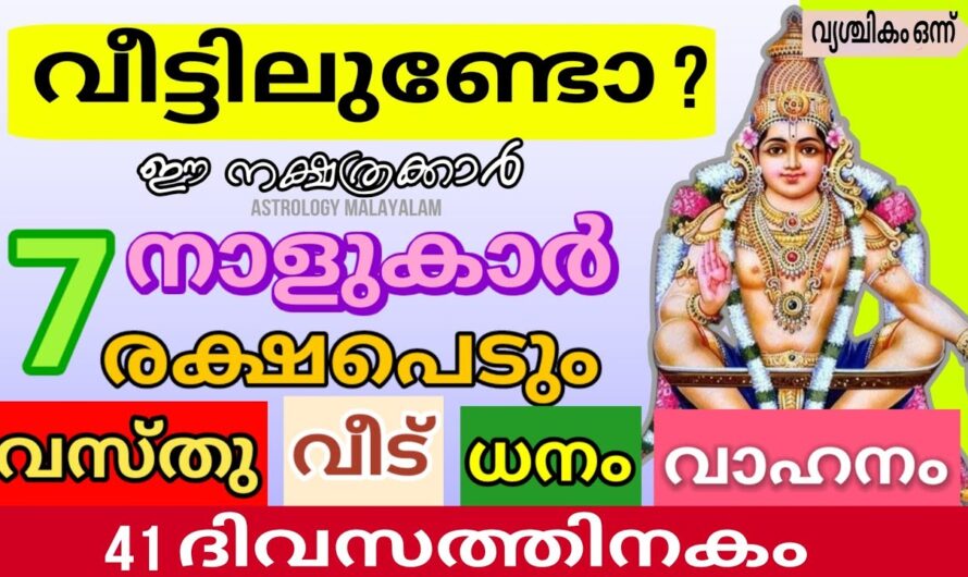 വൃശ്ചിക മാസത്തിൽ റോക്കറ്റ് പോലെ കുതിച്ചുയരുന്ന നക്ഷത്രക്കാർ ഇവരാണ്…