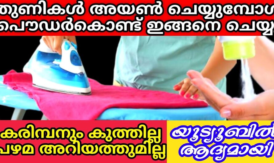 ഈ സൂത്രങ്ങൾ ചെയ്യാൻ പൗഡർ മതി, ആരെയും ഞെട്ടിക്കും ഉപയോഗങ്ങൾ