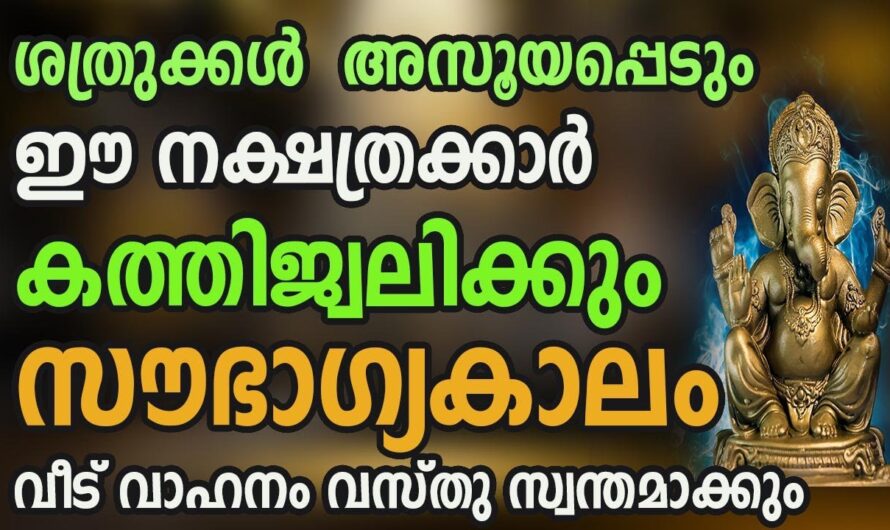 ഈ നക്ഷത്രക്കാർ ഇനി രാജാവിന് പോലെ ജീവിക്കും, ഇവർക്ക് സൗഭാഗ്യ പെരുമഴ…