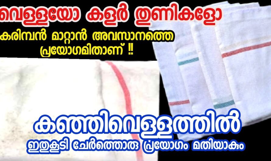 കരിമ്പൻ കുത്തുള്ള തുണികൾ നിമിഷങ്ങൾക്കുള്ളിൽ ക്ലീൻ ചെയ്യാം, അടിപൊളി സൂത്രം…