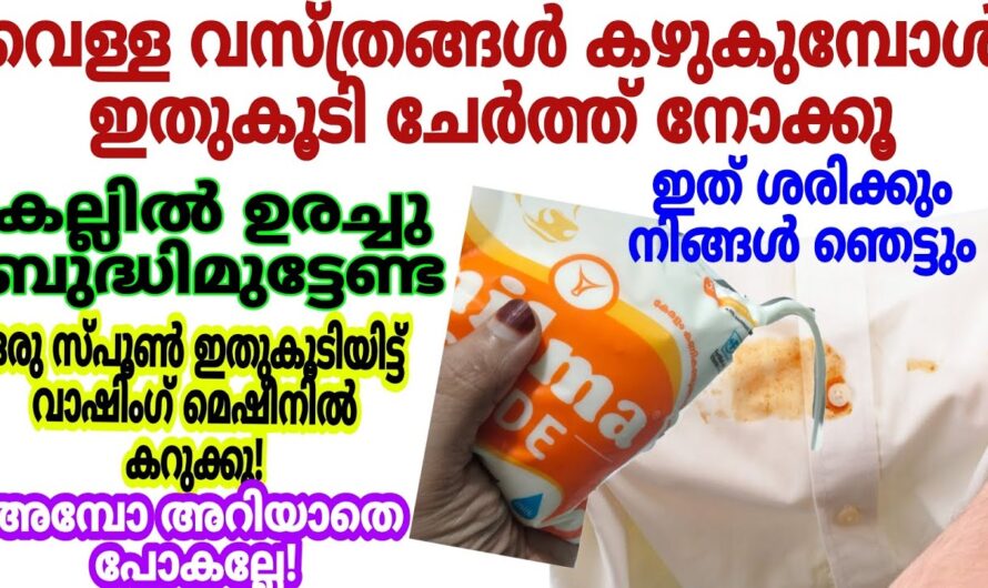 ഈ കിടിലൻ ടിപ്പുകൾ അറിഞ്ഞാൽ ഒരിക്കലും നിങ്ങൾ ഇതൊന്നും കളയുകയില്ല…