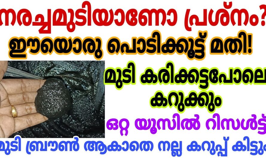 ഹെയർ ഡൈ തയ്യാറാക്കാൻ ഇനി വീട്ടിലെ ഈ സാധനങ്ങൾ മതി, നാച്ചുറൽ ഡൈ