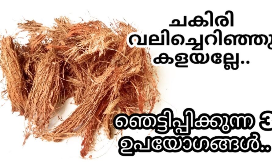 വീട്ടിൽ ചകിരി ഉണ്ടെങ്കിൽ ഉറപ്പായും ഇത് ചെയ്തു നോക്കൂ, ആരും ഞെട്ടിപ്പോകും