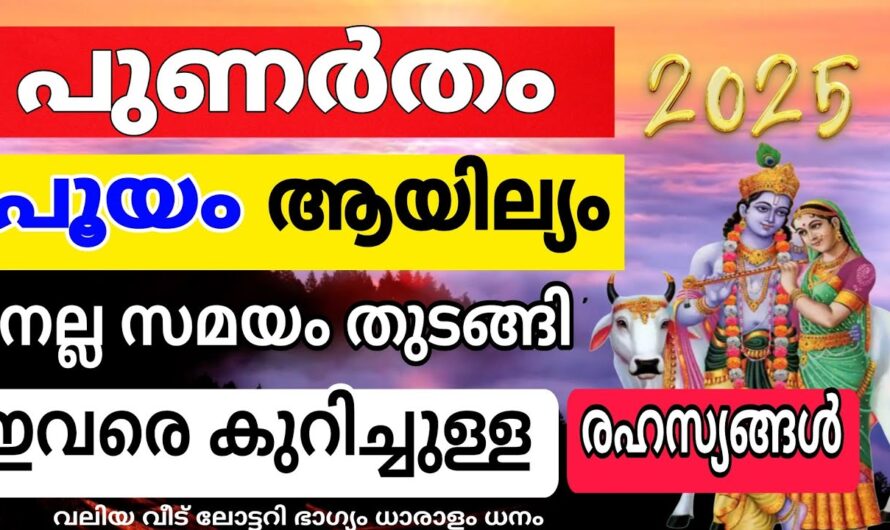 ഈ മൂന്നു നക്ഷത്രക്കാർക്ക് ഇരട്ട രാജയോഗം, 2025ലെ കോടീശ്വരന്മാർ…