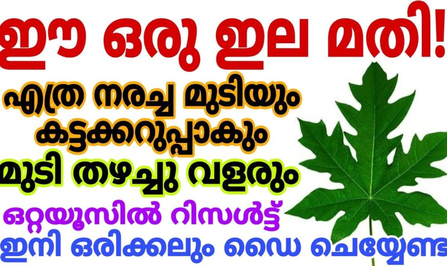 മുടി കട്ട കറുപ്പ് ആകാൻ ഡൈ വേണ്ട, ഒരു കിടിലൻ ഹെയർ പാക്ക് ഉണ്ട്