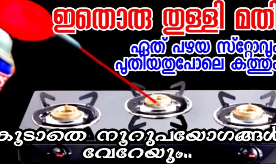 വീട്ടമ്മമാരുടെ പല പ്രശ്നങ്ങൾക്കും ഒരു പരിഹാരം, ഉറപ്പായും ഈ പ്രൊഡക്ടിനെ കുറിച്ച് അറിയണം…