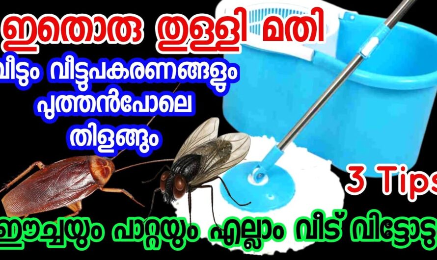 തറ തുടയ്ക്കുന്ന വെള്ളത്തിൽ ഇതൊരു അല്പം ചേർത്താൽ മാജിക് കാണാം…