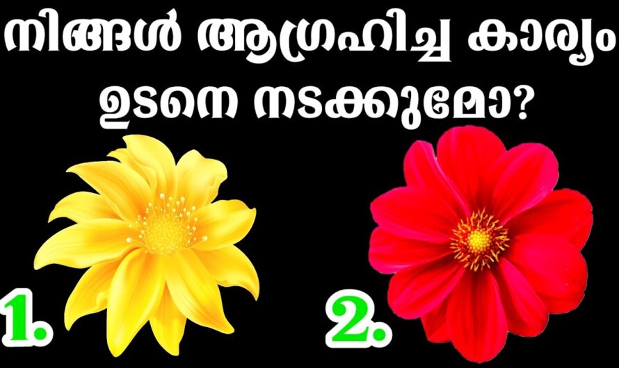 നിങ്ങളുടെ ലക്ഷ്യത്തിന്റെ തടസ്സം എന്ത്..? ഇതിൽ ഒരെണ്ണം തിരഞ്ഞെടുത്താൽ അറിയാം…