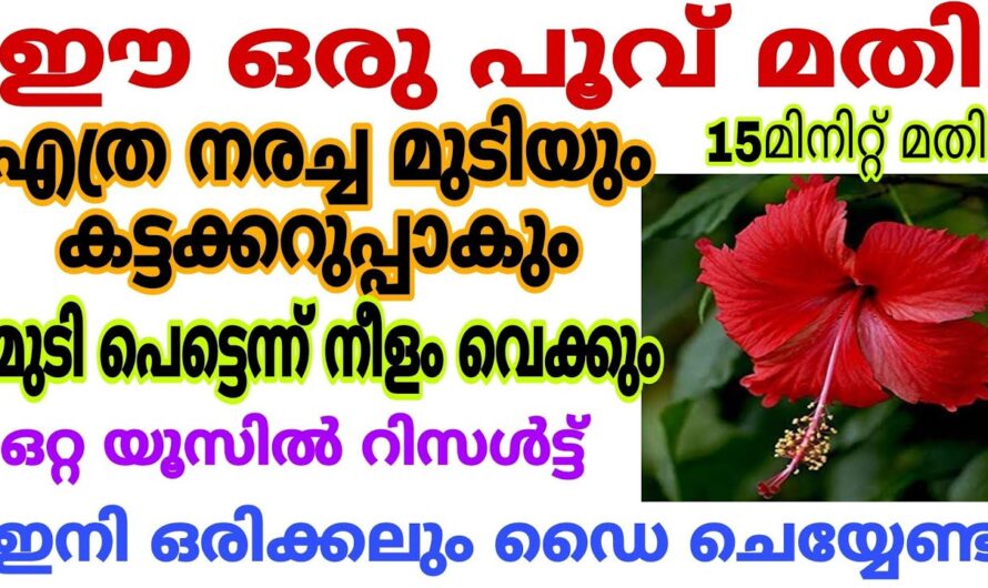 മുടി നല്ല കട്ട കറുപ്പാകാൻ ഇനി ഡൈ ചെയ്യേണ്ട, ഒരു കിടിലൻ ഹെയർ പാക്ക്